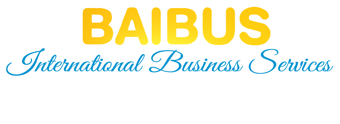 Baibus International Bussiness Services